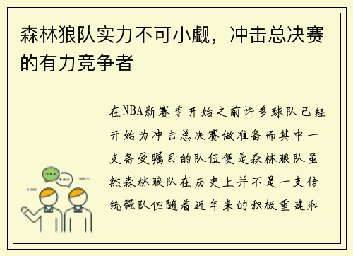 森林狼队实力不可小觑，冲击总决赛的有力竞争者