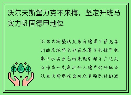 沃尔夫斯堡力克不来梅，坚定升班马实力巩固德甲地位